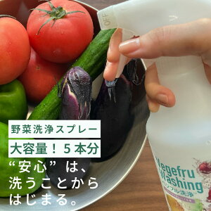 c_򏜋 ؉ʕ Nxێ ؐ Egt@Cou AJd  FxWt X^[^Zbgtߗp({g5{ EXv[{g)