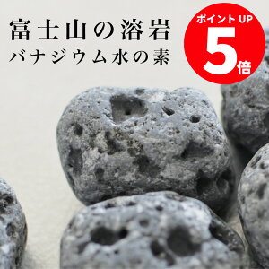 �y�|�C���g�A�b�v�T�� ~12/18�܂Łz�y�o�i�W�E���E�H�[�^�[�����1�ʁI�z�~�l�����E�H�[�^�[ ������ �x�m�n�� ���f���� �|�b�g ���ъ�y�|�X�g�����z�o�i�W�E�����̑f150g (��13����)