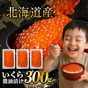 kCY ݖЂ 300gi100g×3pbNjyzyz