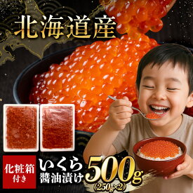 いくら 醤油漬け （250g×2パック） 国産 北海道産 送料無料 イクラ さけ 鮭 サケ 小分け 海鮮 丼 軍艦 手巻き 寿司 ちらし ikura ギフト おためし お中元 ギフト プレゼント 御中元