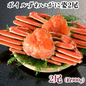 ボイルずわいがに姿2尾　約900gずわい蟹 冷凍 送料無料