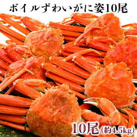 ボイルずわいがに姿10尾　約4.5kgお買い得！業務用 ずわい蟹 冷凍 送料無料