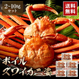 ボイルズワイ姿2尾セット（1セット） お値打ち ボイル ズワイガニ ニ かに 蟹 ズワイガニ ボイルズワイガニ ズワイ蟹 お歳暮 ギフト プレゼント