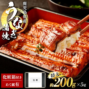 Y Ȃ ^Rt 125g or 200g iIׂ1-5j Ђ܂Ԃ ȂЂ ɂ Ș ȏd V EiM Ⓚ Ȃ Ă  ȂĂ VĂ V 