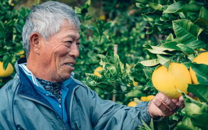 ΍s yU ƒp 5kg 2026N115珇\