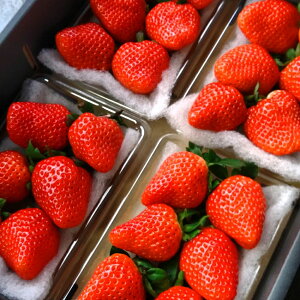 mikaberry 嗱ق̂ 300g×4pbN 1`4 2026N1珇\