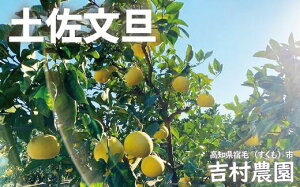 g_ yU ƒp 5kg`10kg 2026N1{珇\