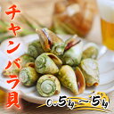 中町水産 チャンバラ貝 0.5kg～5kg 砂抜き済み