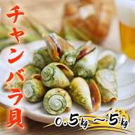 中町水産 チャンバラ貝 0.5kg～5kg 砂抜き済み
