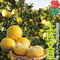 すくも産土佐文旦家庭用10kg(高知県宿毛産訳あり)