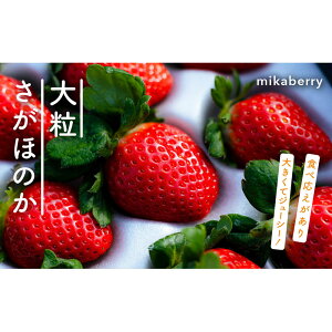 mikaberry 嗱ق̂ mY 300g×4pbN 1`4 2026N1珇\