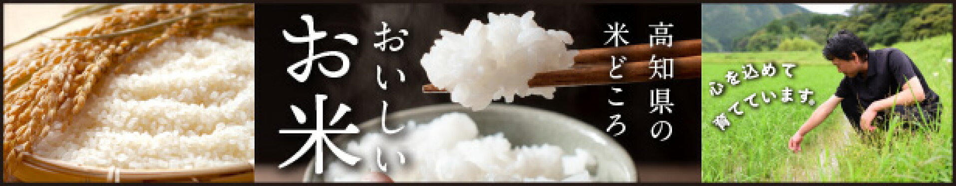 お米カテゴリートップ