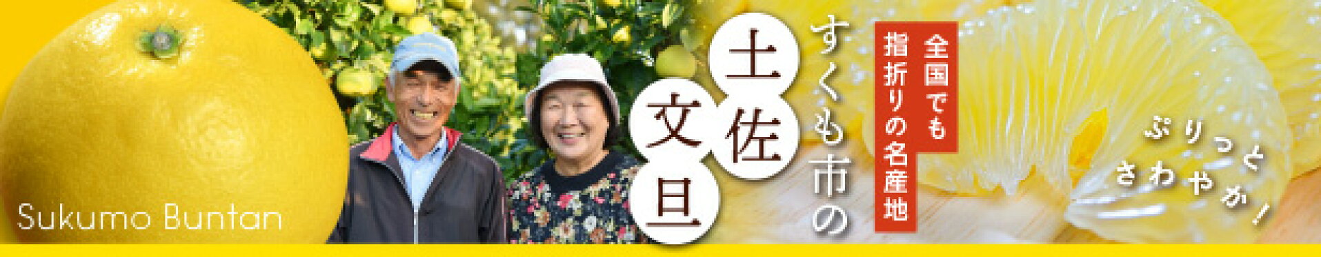 文旦カテゴリートップ