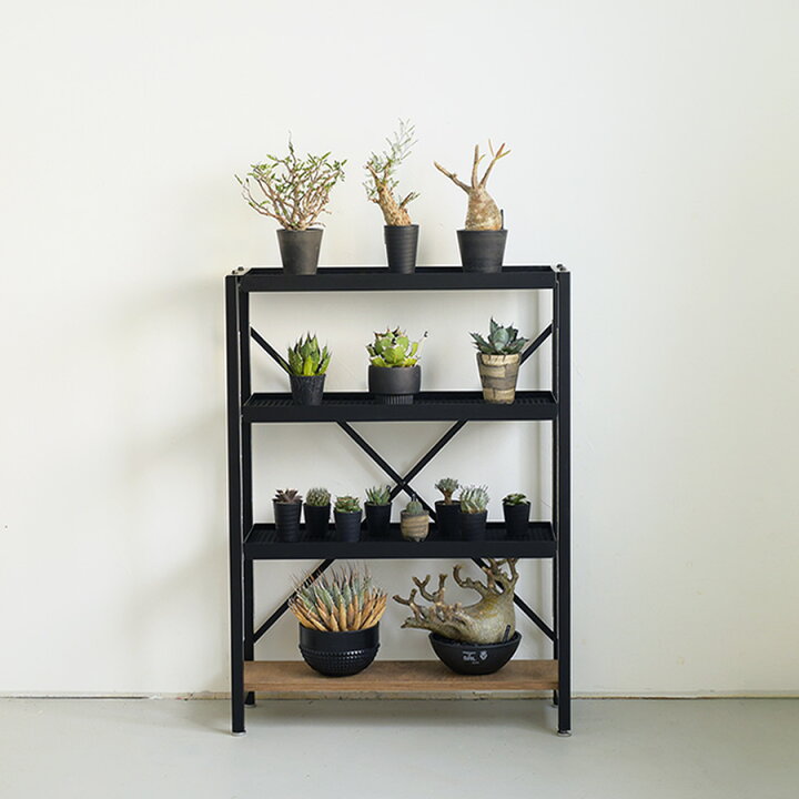 楽天市場】◇国内自社生産◇ボタニカルラック 組立式 耐荷重70kg  