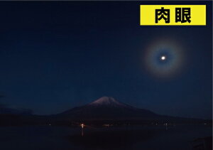 ◆お一人様一点まで◆セレス-GIII10倍-50倍双眼鏡ケンコートキナーコンパクト双眼鏡10-50x27レッド赤redKENKOTOKINAセレスG3ポロプリズム式双眼鏡マルチコート
