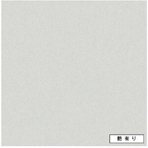 ACJ Lb`pl FQNA6301ZMN L 3x8 Z[ y֓nꕔ̂ݔzz