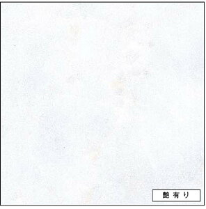 ACJ Lb`pl FYAA1897ZMN L 3x8 Z[oX[p y֓nꕔ̂ݔzz