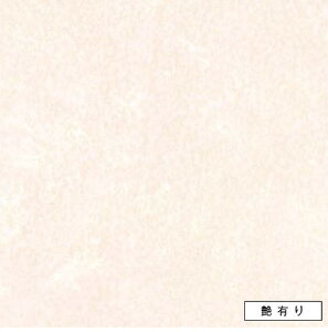 ACJ Lb`pl FYAA1964ZMN L 3x8 Z[oX[p y֓nꕔ̂ݔzz