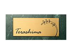 DK53P O[[tXeXS[h  Ki