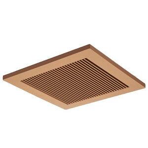 |CgAbv DV-X20RV(T) ŃLA _Ngp C [o[ uE 20cm CeAiq DV-X20RV(T)yꌧ^ρz