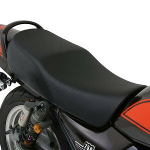 fCgi(Daytona) oCNp V[g [t@[750/RS(91-06)p vV[g V[gx[XȂ 73636