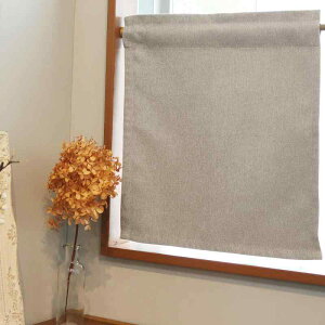 J[e񋉎Ռli`nJ[e 1 2Ռ JtFJ[e ډB ̂ ՔM ۉ 􂦂 @Ή i` ȃGl Vv