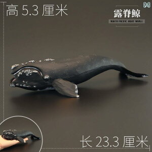 q tBMA Cm  V~[V   T NW zIW U uX^[ CJ ^R AUV CJ Fm