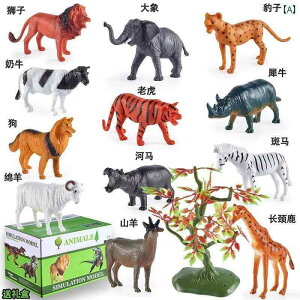 q tBMA qp    V~[V  E 쐶  X _    