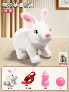 q tBMA q   ETM s Ԃ  グ K V~[V d ʂ j̎q 킢 ybg ̎q