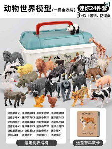 tBMA   tBMA  V~[V 쐶    Ԃ Fm 36΂ j̎q ̎q q 