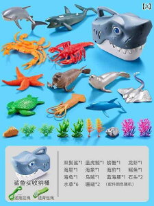 tBMA   tBMA Cm  V~[V   傫 T   E E~K  NW q j̎q