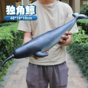 tBMA   V~[V CbJN \tg O[ Cm  C   T CJ qւ Mtg