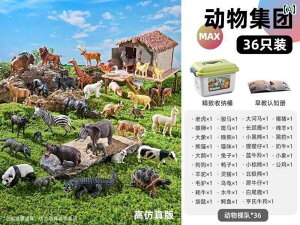 tBMA   tBMA hCc 쐶  q     V~[V Zbg Ԃ Cm Fm