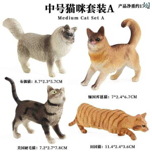 tBMA  qp V~[V   Zbg q L   Ԃ Fm j̎q ̎q