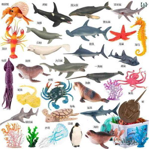 tBMA  Cm   V~[V  T CJ 3 q 4 NW \tg O[ j̎q  E 