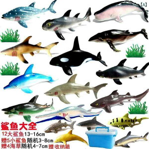 tBMA  V~[V \tgWF Cm  qp Fm  ߋ ^R T M   Mtg pbP[W