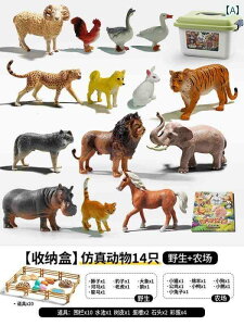 tBMA  qp V~[V   Zbg Ԃ     eBmTEX g C