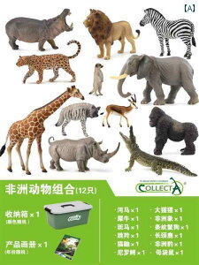 tBMA  v[g CMX CollectA I you him V~[V   쐶  j    Cm Zbg