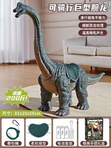 tBMA  v[g   uLITEX   d s gPgvX XN[^[  Ƃ ł܂  q a v[g