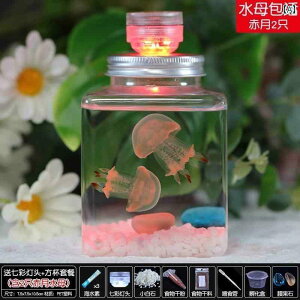 tBMA  v[g ~j  NQ Cm  V~[V    J T j̎q w