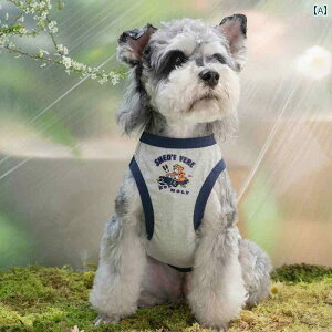  L  ̂  xXg ybg    efB R[M[ ViEU[ Č 