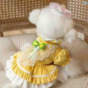  L    tH efB ViEU[ F [^ XJ[g }`[Y ybg L ^ 