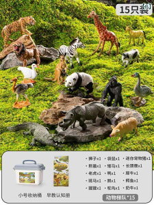 tBMA  v[g qp   ͌^  Zbg Ԃ   Fm wK [ j̎q Mtg