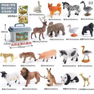 tBMA  v[g  qp V~[V    Zbg Ԃ Fm 1 쐶  2 E t _