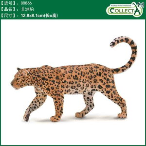 CMX CollectA I Ȃ  V~[V 쐶  RNV  Fm g CI L