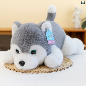  tBMA l` V~[V q l` 킢 ʂ Ă bT[p_ ̎q Mtg q 