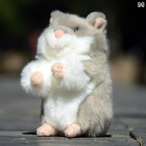  tBMA l` 킢  }EX ʂ l` V~[V  }EX ~j  i Mtg