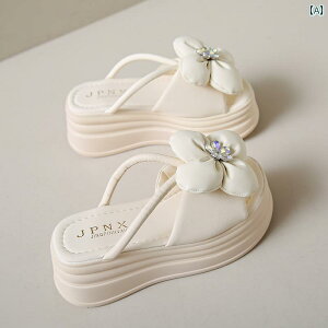 T_ 킢 ₷ p  Xbp 2025Č^ g Abv 8 cm  TCY 34 O  v EFfBO r[` V[Y