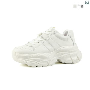 jO V[Y C  ͂ǂ G߂ł   ʋC yʐ Dꂽ   fB[XV[Y JWA _bh V[Y X|[c