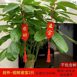 CeA IuWF  Ղ Ƃ F K^   Ȃ ؂ ~ j hA XebJ[ ^  y_g